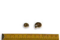 F 03880
<br/>
<br/>
<em></em>